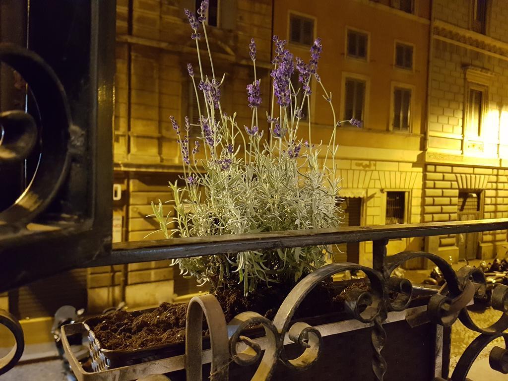 Loft Pantheon Villa โรม ภายนอก รูปภาพ